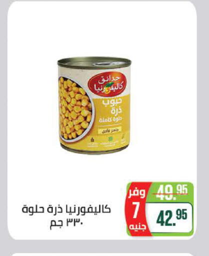 available at Seoudi Supermarket in Egypt - Cairo