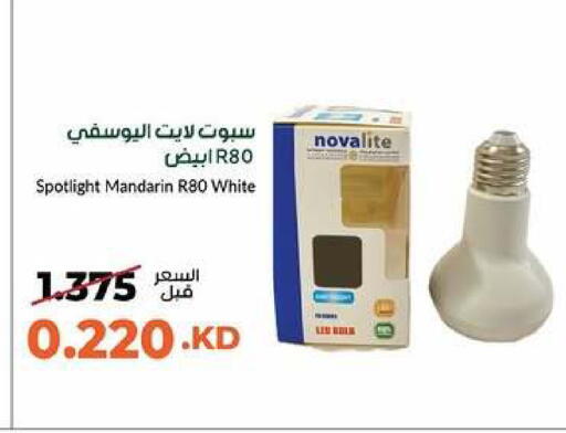 Mandarin available at جمعية خيطان التعاونية in الكويت - محافظة الأحمدي