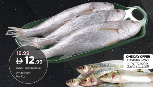 available at نستو هايبرماركت in الإمارات العربية المتحدة , الامارات - ٱلْعَيْن‎