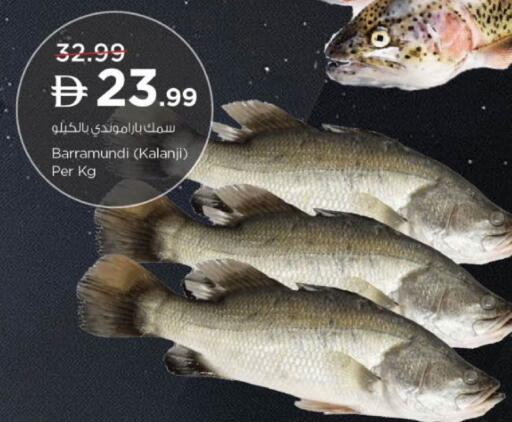 available at نستو هايبرماركت in الإمارات العربية المتحدة , الامارات - ٱلْفُجَيْرَة‎