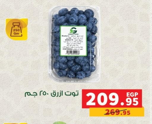 available at Panda  in Egypt - Cairo