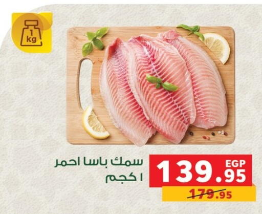 available at بنده in Egypt - القاهرة