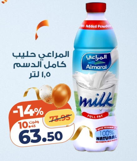 available at Kazyon  in Egypt - Cairo