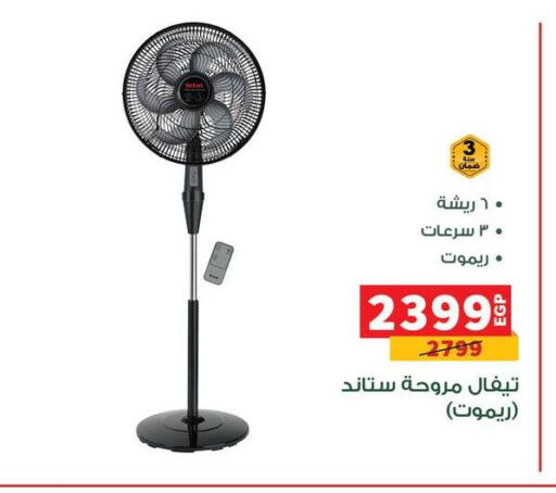 available at Panda  in Egypt - Cairo