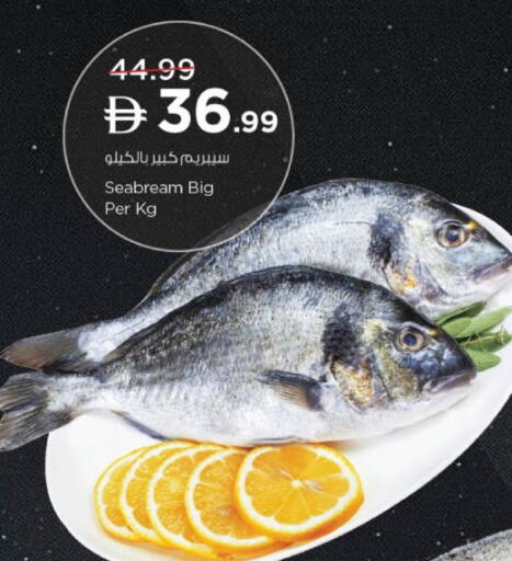 available at نستو هايبرماركت in الإمارات العربية المتحدة , الامارات - ٱلْعَيْن‎