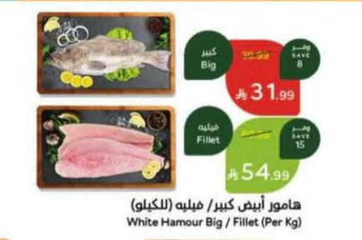 available at Hyper Panda in KSA, Saudi Arabia, Saudi - Al Bahah