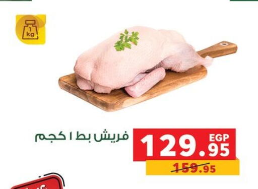 available at بنده in Egypt - القاهرة