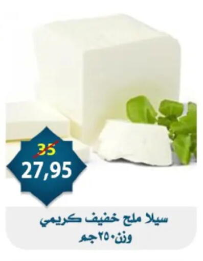 available at اسواق البدر in Egypt - القاهرة