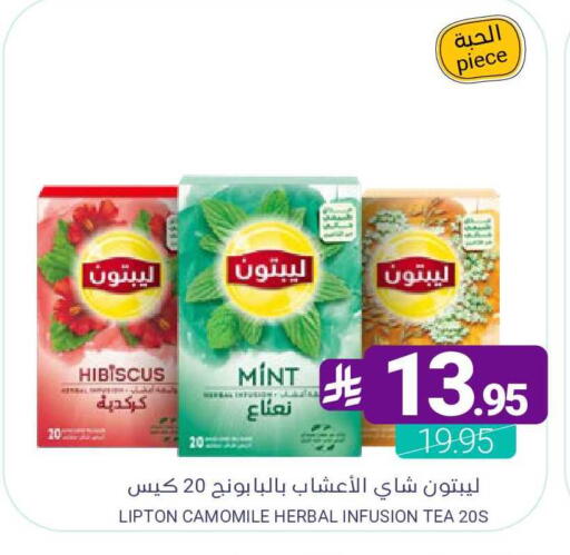 Mint available at اسواق المنتزه in مملكة العربية السعودية, السعودية, سعودية - المنطقة الشرقية