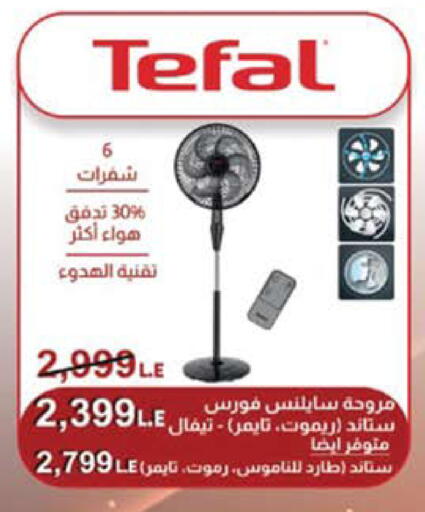 available at سعودي سوبرماركت in Egypt - القاهرة