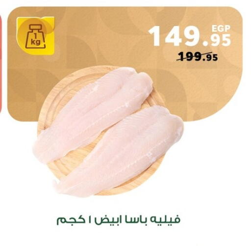 available at بنده in Egypt - القاهرة