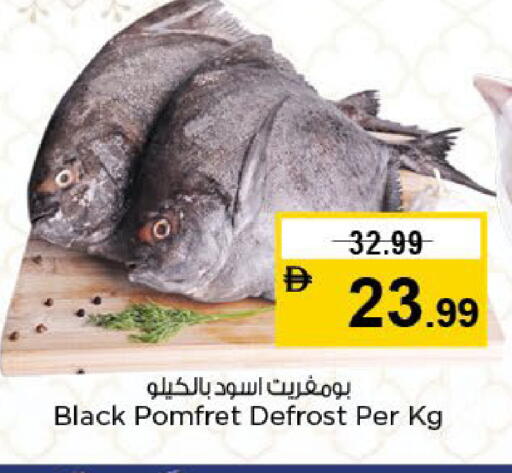 available at نستو هايبرماركت in الإمارات العربية المتحدة , الامارات - الشارقة / عجمان