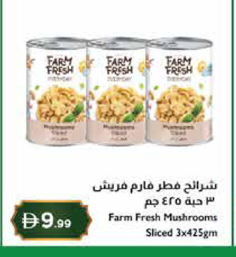 available at إسطنبول سوبرماركت in الإمارات العربية المتحدة , الامارات - ٱلْعَيْن‎