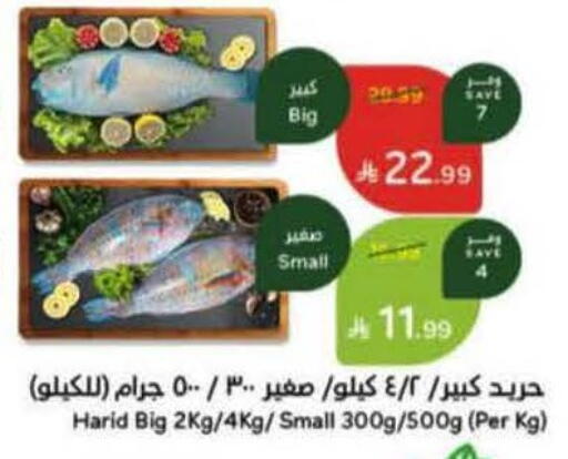 available at Hyper Panda in KSA, Saudi Arabia, Saudi - Al Hasa