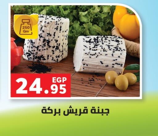 available at Panda  in Egypt - Cairo
