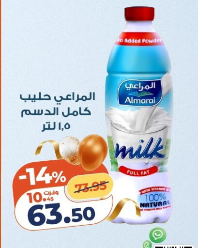 available at Kazyon  in Egypt - Cairo