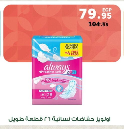 available at Panda  in Egypt - Cairo