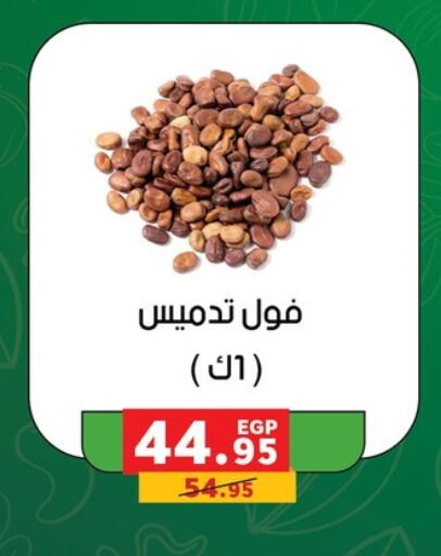 available at بنده in Egypt - القاهرة