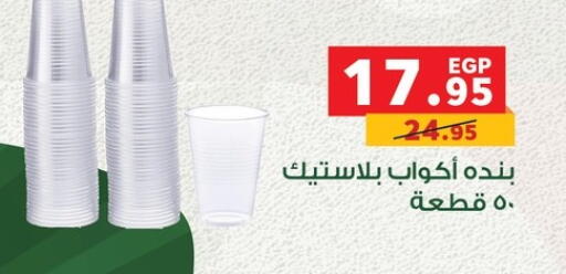 available at Panda  in Egypt - Cairo