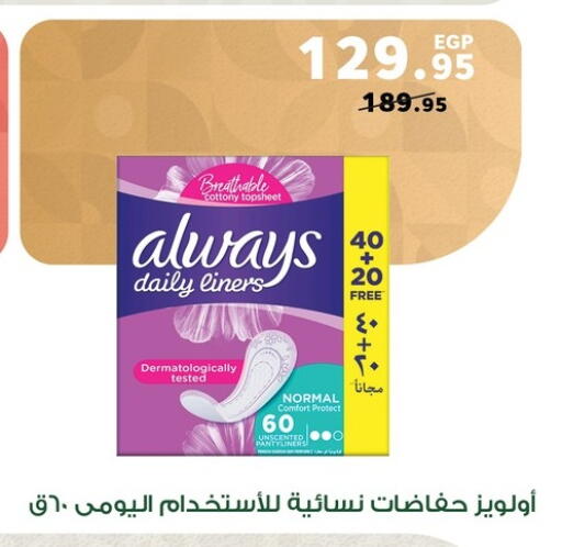 available at Panda  in Egypt - Cairo