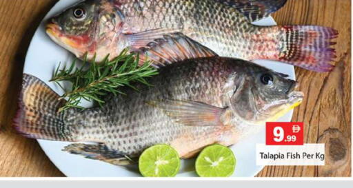 available at Gulf Hypermarket LLC in UAE - Ras al Khaimah