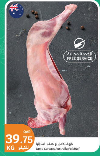 available at City Hypermarket in Qatar - Al Daayen