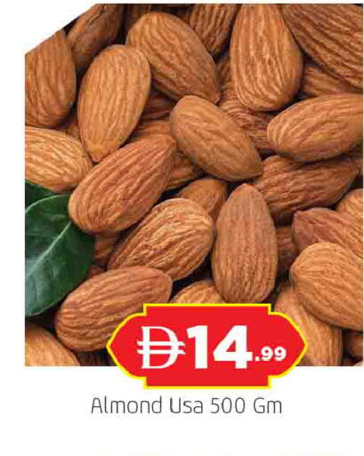 available at المدينة in الإمارات العربية المتحدة , الامارات - الشارقة / عجمان