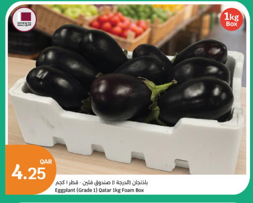 Eggplant from Qatar available at سيتي هايبرماركت in قطر - الخور