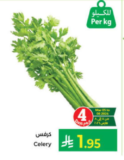Celery available at Kabayan Hypermarket in KSA, Saudi Arabia, Saudi - Jeddah