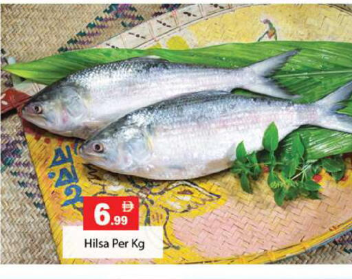 available at Gulf Hypermarket LLC in UAE - Ras al Khaimah