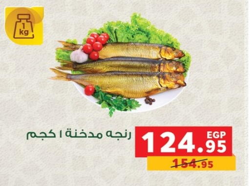 available at بنده in Egypt - القاهرة