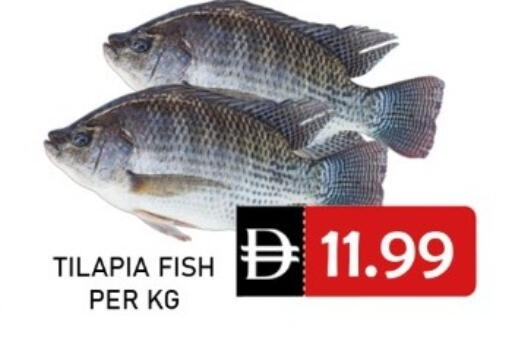 available at متجر الهدايا الخضراء in الإمارات العربية المتحدة , الامارات - أبو ظبي