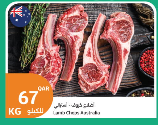 available at City Hypermarket in Qatar - Doha