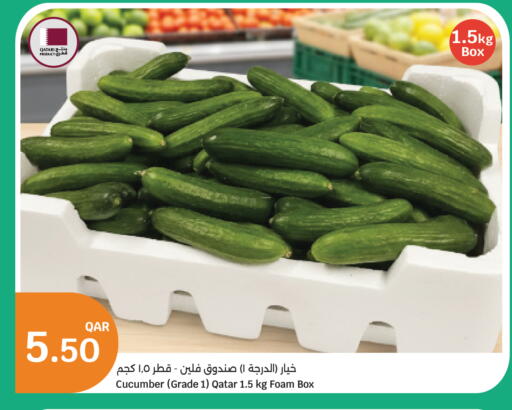 Cucumber from Qatar available at سيتي هايبرماركت in قطر - الخور