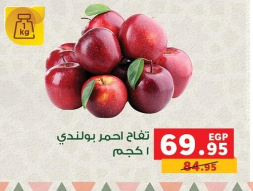 available at Panda  in Egypt - Cairo