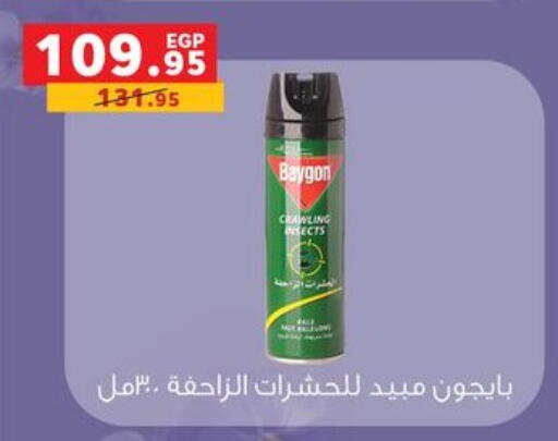 available at Panda  in Egypt - Cairo