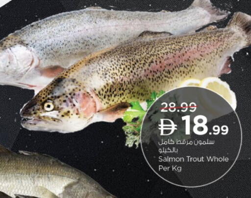 available at نستو هايبرماركت in الإمارات العربية المتحدة , الامارات - ٱلْعَيْن‎