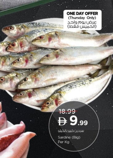 available at نستو هايبرماركت in الإمارات العربية المتحدة , الامارات - ٱلْفُجَيْرَة‎