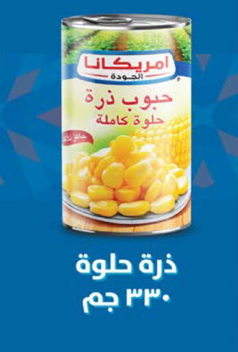 available at Seoudi Supermarket in Egypt - Cairo