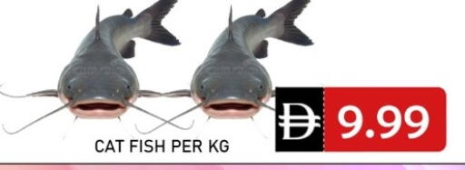 available at متجر الهدايا الخضراء in الإمارات العربية المتحدة , الامارات - أبو ظبي