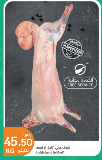 available at City Hypermarket in Qatar - Al Daayen