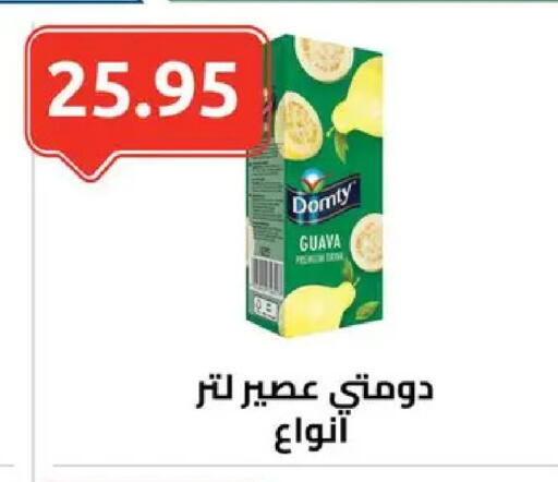 Guava available at الهواري in Egypt - القاهرة