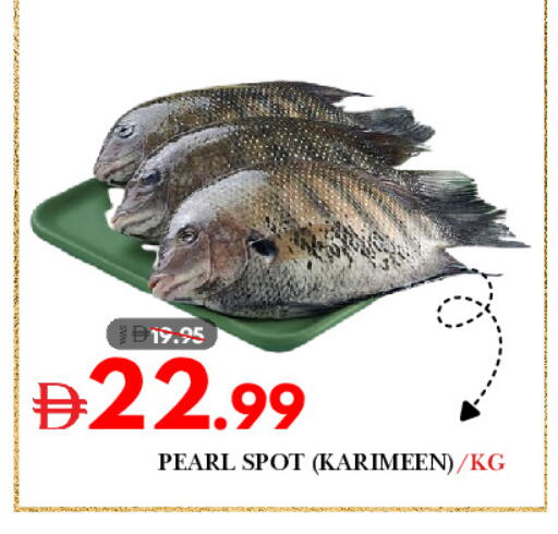 available at ديزرت فريش ماركت in الإمارات العربية المتحدة , الامارات - أبو ظبي