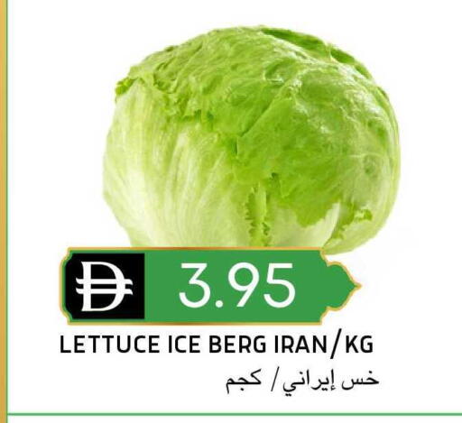 Lettuce from Iran available at Select Market in UAE - Abu Dhabi