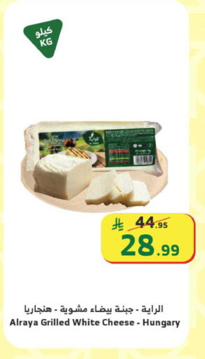 available at الراية in مملكة العربية السعودية, السعودية, سعودية - الباحة