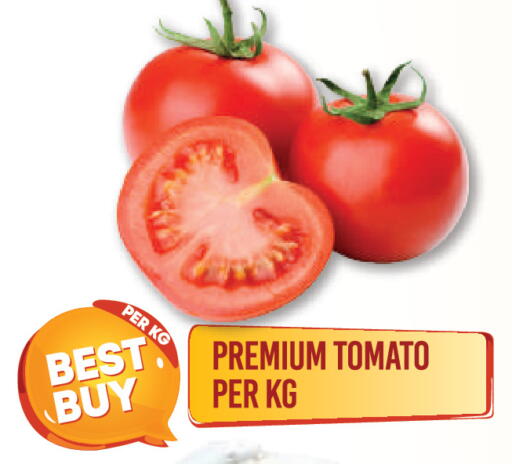 Tomato available at Dream Land in UAE - Dubai