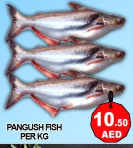 available at Green Gift Department Store in UAE - Dubai