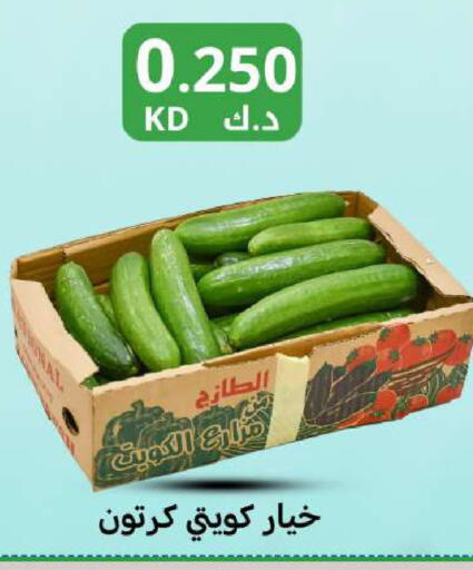 available at Meem Central Market Co in Kuwait - Kuwait City