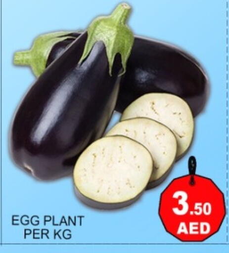 available at Green Gift Department Store in UAE - Dubai