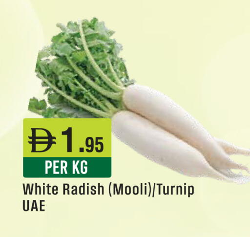 Radish Turnip available at ويست زون سوبرماركت in الإمارات العربية المتحدة , الامارات - دبي
